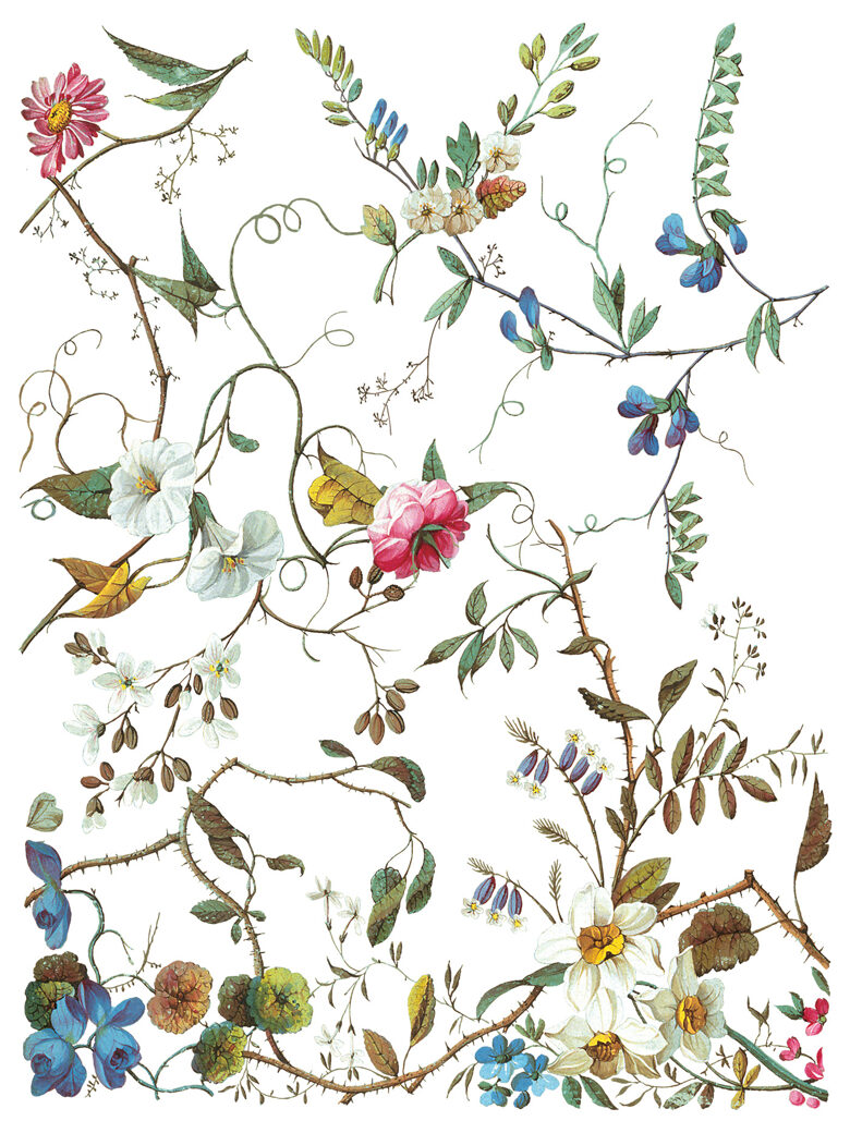 LOST GARDEN